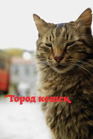 Город кошек онлайн